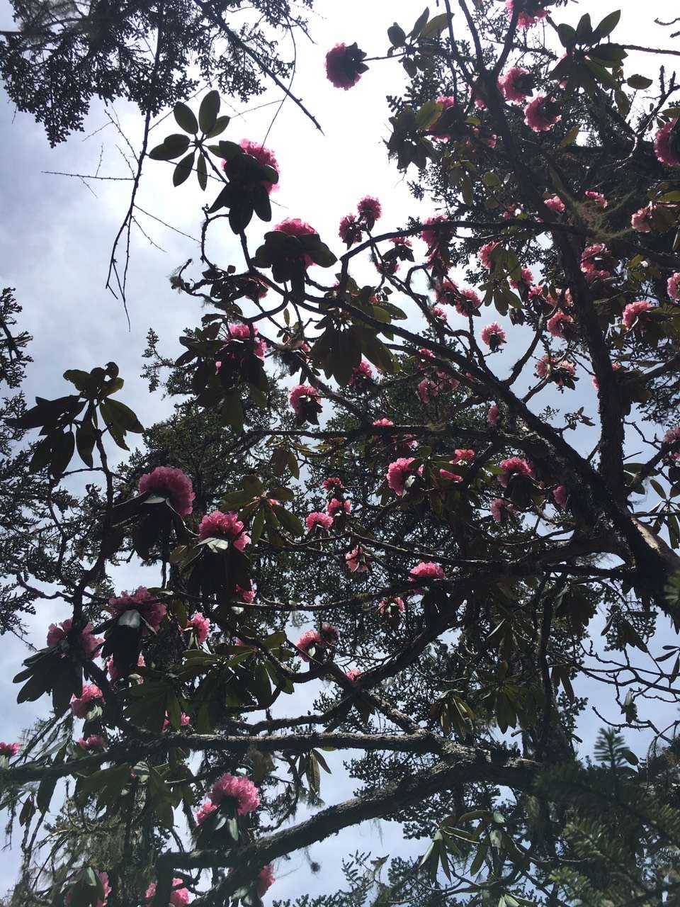 微信图片_20210226150621 微信图片_20210226150621