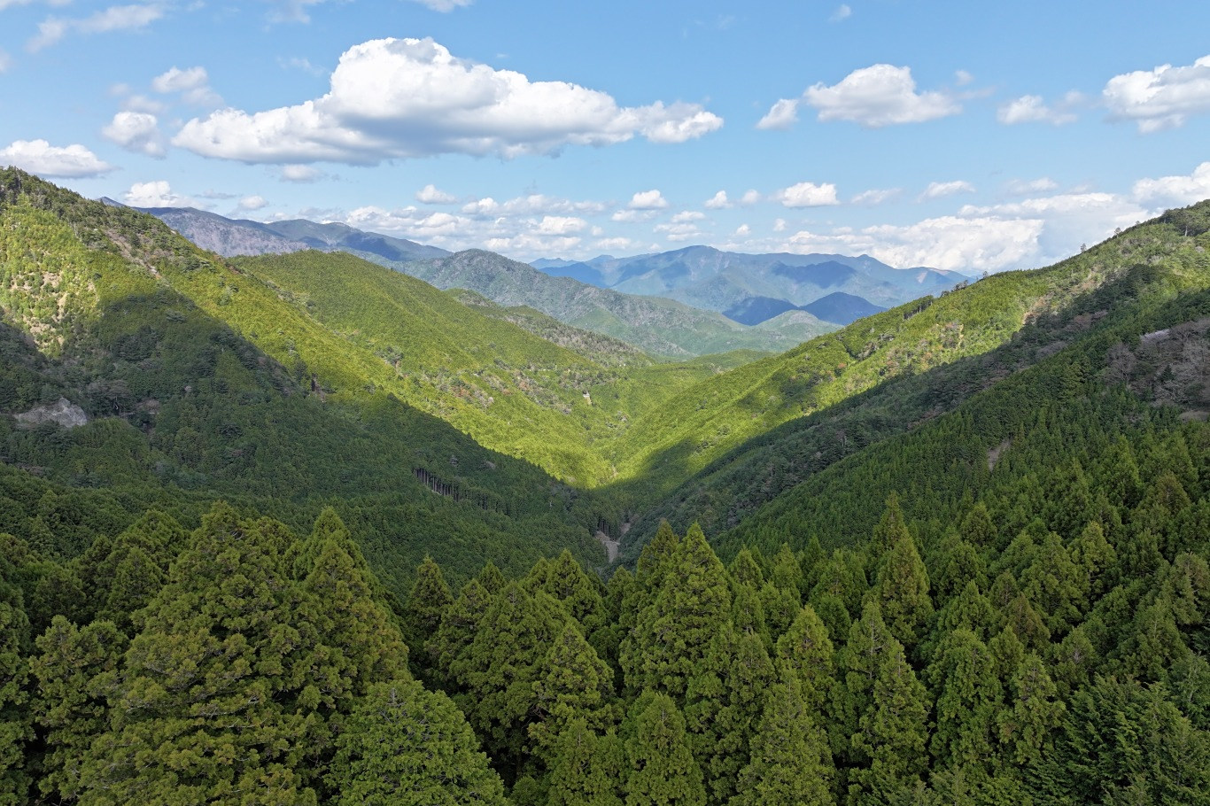 dji_fly_20250403_140902_0503_1743680568163_photo.JPG